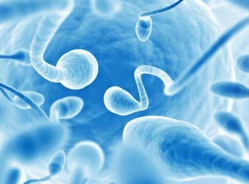 Η Ενδομήτριος Σπερματέγχυση