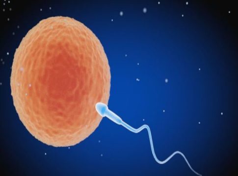 Εξωσωματική σε Φυσικό Κύκλο